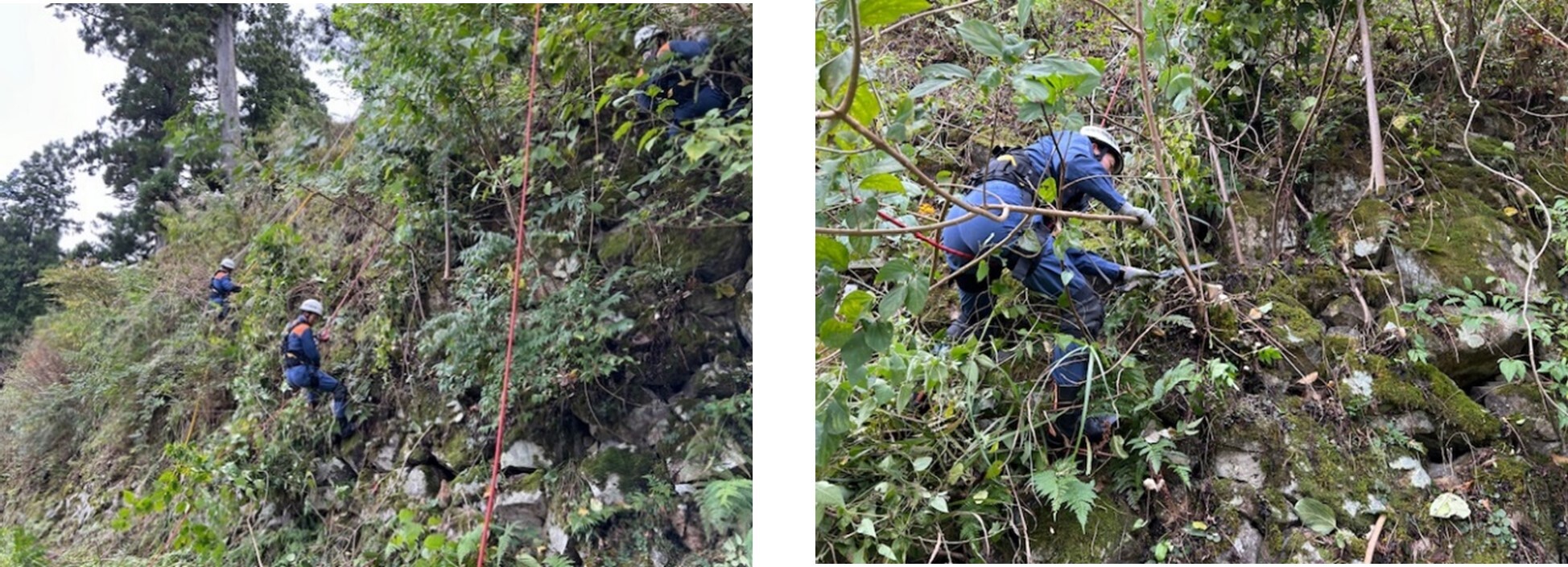 降下開始！草木を除去せよ！